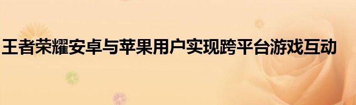 王者荣耀安卓与苹果用户实现跨平台游戏互动