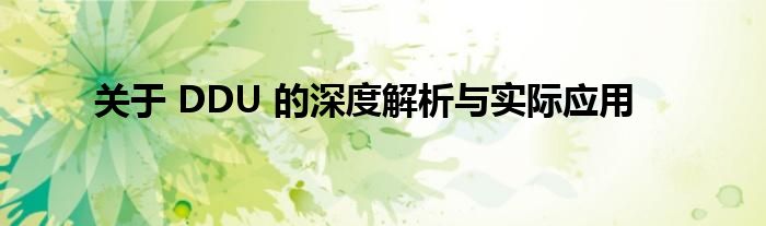 关于 DDU 的深度解析与实际应用