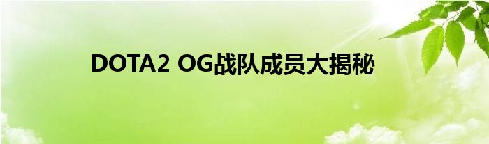 DOTA2 OG战队成员大揭秘
