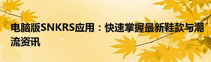 电脑版SNKRS应用：快速掌握最新鞋款与潮流资讯