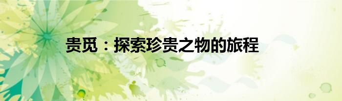 贵觅：探索珍贵之物的旅程