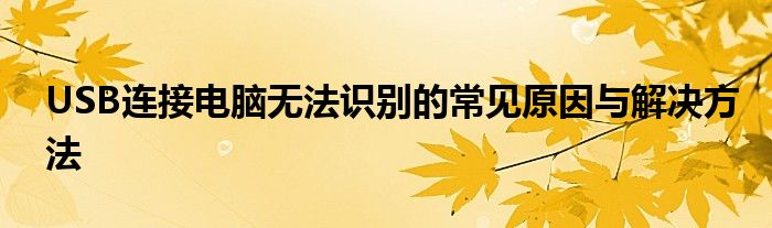 USB连接电脑无法识别的常见原因与解决方法