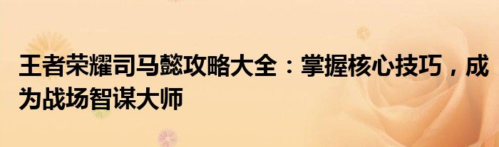 王者荣耀司马懿攻略大全：掌握核心技巧，成为战场智谋大师