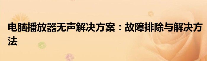 电脑播放器无声解决方案：故障排除与解决方法