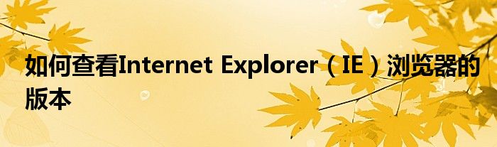 如何查看Internet Explorer（IE）浏览器的版本