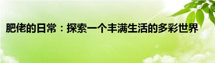 肥佬的日常：探索一个丰满生活的多彩世界