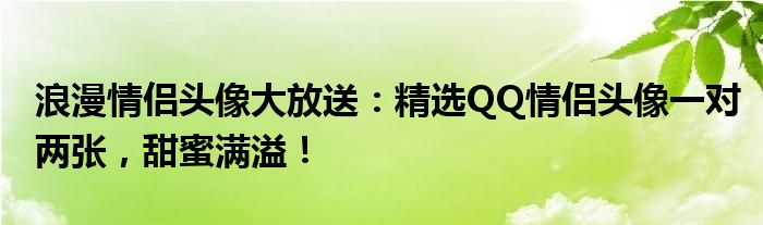 浪漫情侣头像大放送：精选QQ情侣头像一对两张，甜蜜满溢！