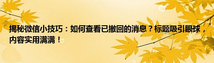 揭秘微信小技巧：如何查看已撤回的消息？标题吸引眼球，内容实用满满！