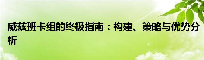 威兹班卡组的终极指南：构建、策略与优势分析