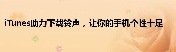 iTunes助力下载铃声，让你的手机个性十足