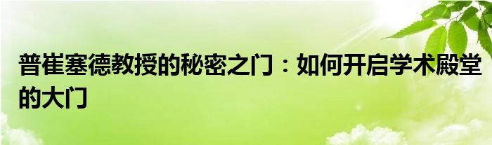 普崔塞德教授的秘密之门：如何开启学术殿堂的大门