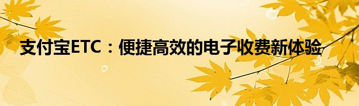 支付宝ETC：便捷高效的电子收费新体验