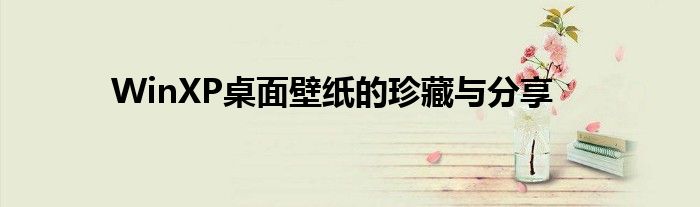 WinXP桌面壁纸的珍藏与分享
