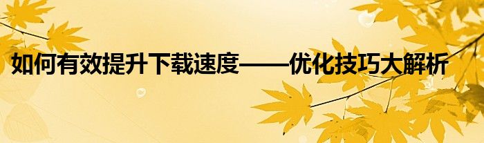 如何有效提升下载速度——优化技巧大解析