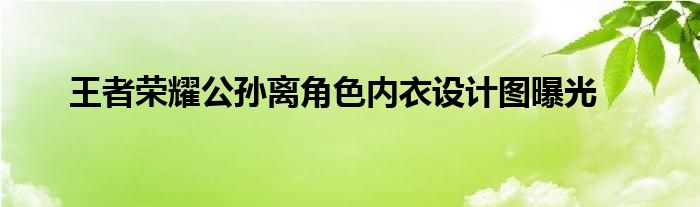 王者荣耀公孙离角色内衣设计图曝光