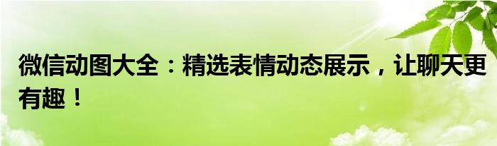 微信动图大全：精选表情动态展示，让聊天更有趣！