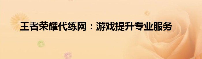 王者荣耀代练网：游戏提升专业服务