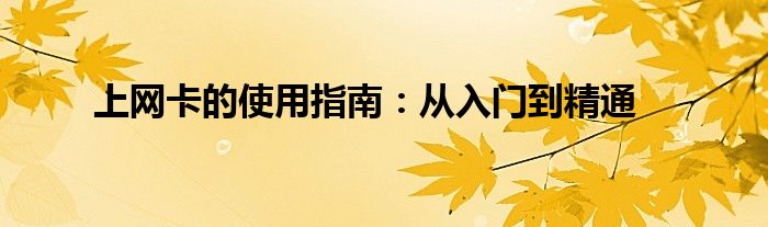 上网卡的使用指南：从入门到精通
