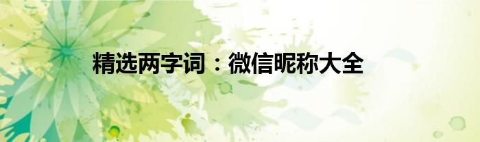 精选两字词：微信昵称大全