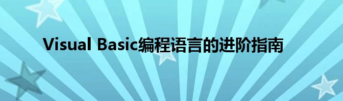 Visual Basic编程语言的进阶指南