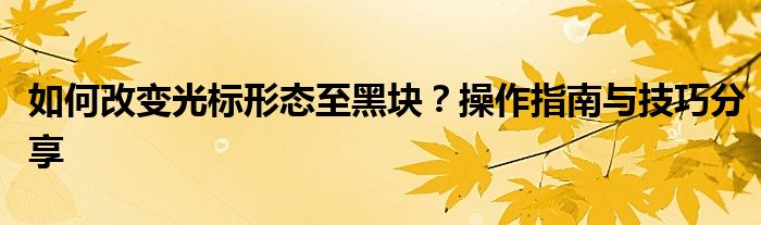 如何改变光标形态至黑块？操作指南与技巧分享