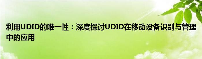 利用UDID的唯一性：深度探讨UDID在移动设备识别与管理中的应用