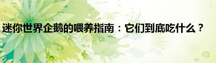 迷你世界企鹅的喂养指南：它们到底吃什么？