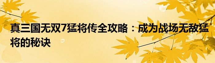 真三国无双7猛将传全攻略：成为战场无敌猛将的秘诀