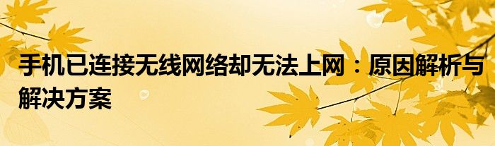 手机已连接无线网络却无法上网：原因解析与解决方案