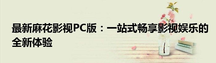 最新麻花影视PC版：一站式畅享影视娱乐的全新体验