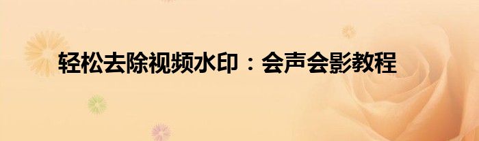 轻松去除视频水印：会声会影教程