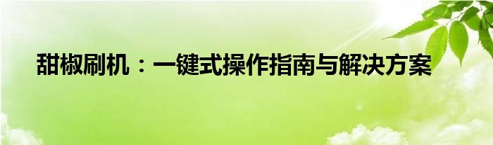 甜椒刷机：一键式操作指南与解决方案