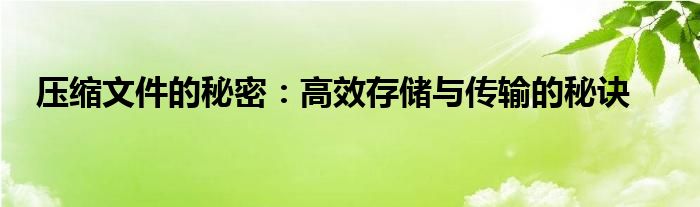 压缩文件的秘密：高效存储与传输的秘诀
