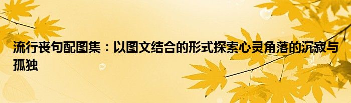 流行丧句配图集：以图文结合的形式探索心灵角落的沉寂与孤独