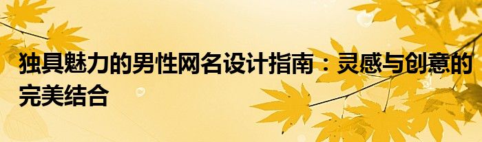 独具魅力的男性网名设计指南：灵感与创意的完美结合