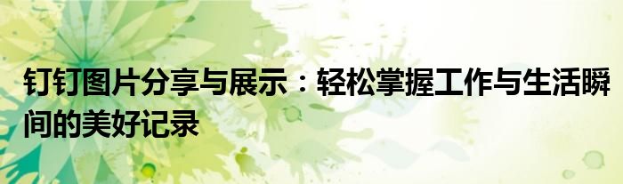 钉钉图片分享与展示：轻松掌握工作与生活瞬间的美好记录