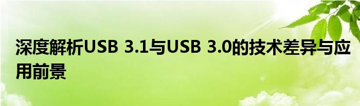 深度解析USB 3.1与USB 3.0的技术差异与应用前景