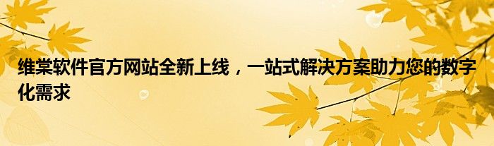 维棠软件官方网站全新上线，一站式解决方案助力您的数字化需求