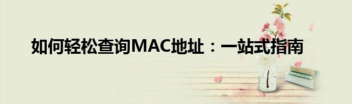 如何轻松查询MAC地址：一站式指南