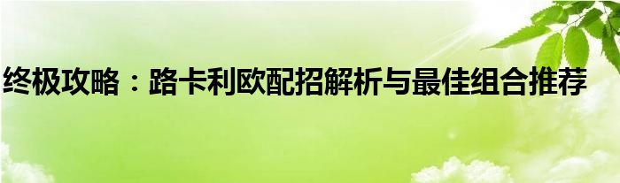 终极攻略：路卡利欧配招解析与最佳组合推荐