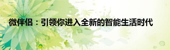 微伴侣：引领你进入全新的智能生活时代