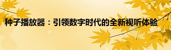 种子播放器：引领数字时代的全新视听体验