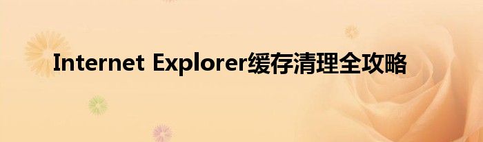 Internet Explorer缓存清理全攻略