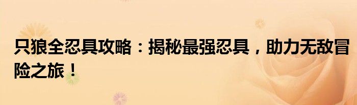只狼全忍具攻略：揭秘最强忍具，助力无敌冒险之旅！
