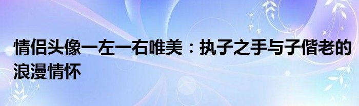 情侣头像一左一右唯美：执子之手与子偕老的浪漫情怀