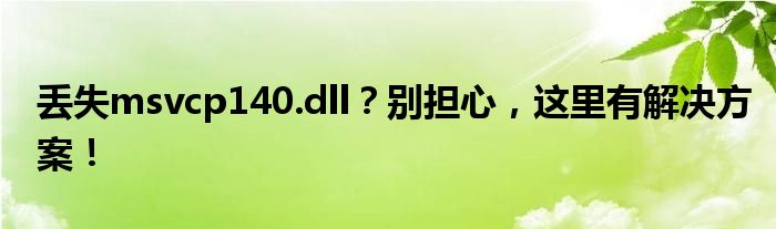 丢失msvcp140.dll？别担心，这里有解决方案！