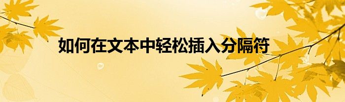 如何在文本中轻松插入分隔符