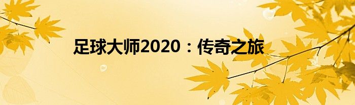 足球大师2020：传奇之旅