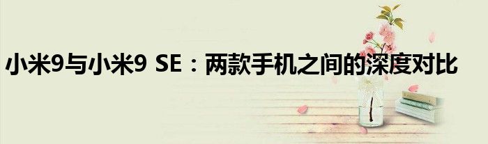 小米9与小米9 SE：两款手机之间的深度对比