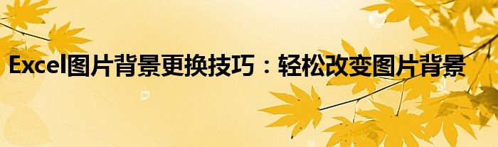Excel图片背景更换技巧：轻松改变图片背景